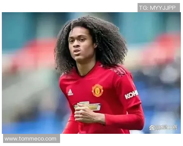 世界足球华裔球星实力排名前十榜单及其精彩表现分析