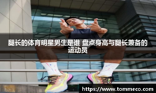 米兰体育官网